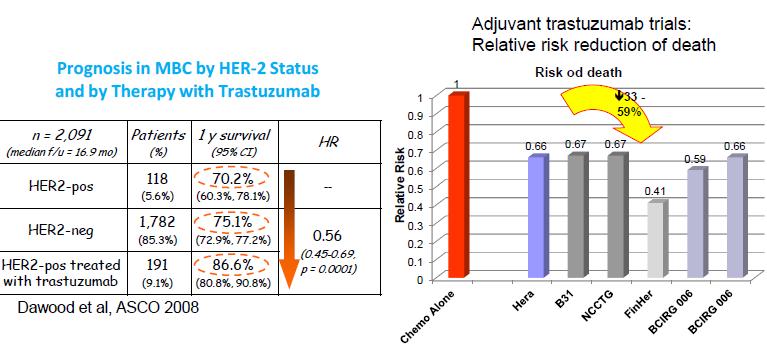 Trasuzumab przełom w leczeniu