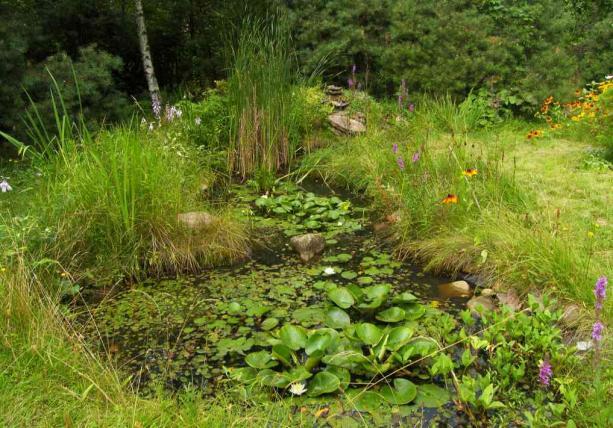 The garden s pond is small with a surface of several square metres, sealed with a plastic foil.