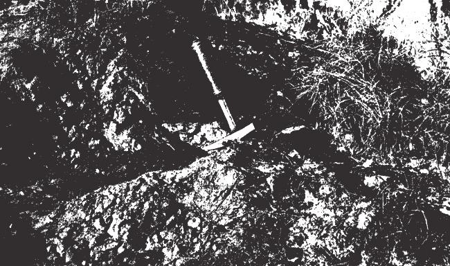 Fot. 2. Zdjęcie przedstawiające meteoryt Lake Murray tkwiący w kredowym piaskowcu. Zdjęcie pochodzi ze starej pracy L. Lapaza z 1953. Fot. 3. Meteoryt Lake Murray wiszący na dźwigu samochodowym.