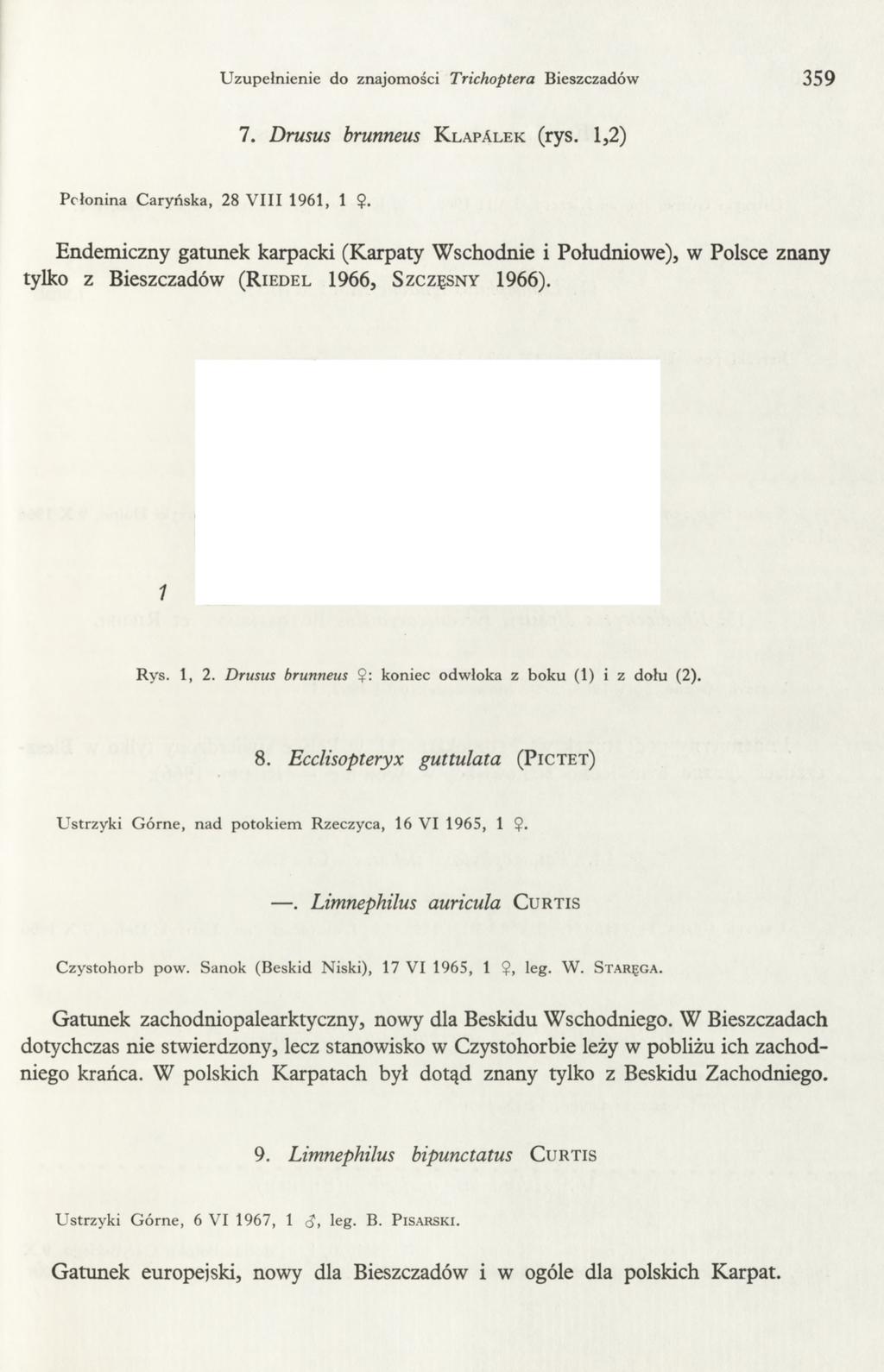 Uzupełnienie do znajomości Trichoptera Bieszczadów 359 7. Drusus brunneus K la pal e k (rys. 1,2) Połonina Caryńska, 28 V III 1961, 1?