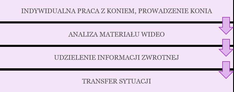 METODOLOGIA Proponowane warsztaty nie wymagają doświadczenia w obcowaniu z końmi. Zajęcia polegają na pracy z koniem, nie jest to jednak jazda na koniu ani hipoterapia.