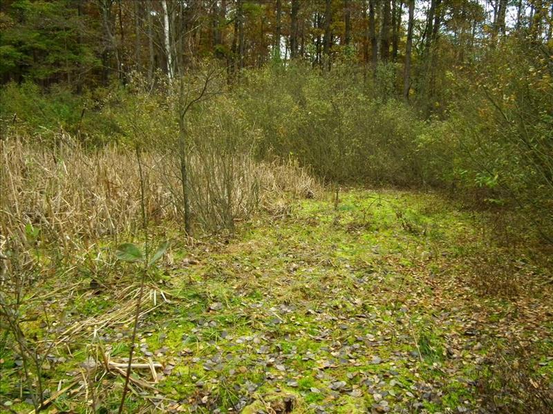 Dziennik Urzędowy Województwa Łódzkiego 10 Poz. 56