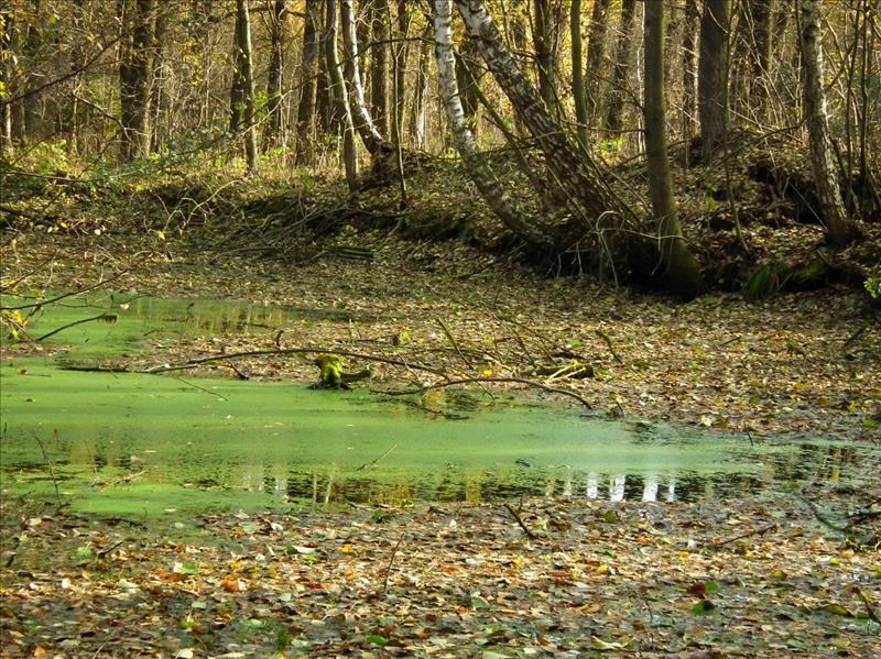 Dziennik Urzędowy Województwa Łódzkiego 7 Poz. 5648 Fot. 2.