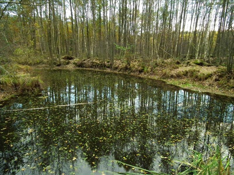 Dziennik Urzędowy Województwa Łódzkiego 8 Poz. 5648 Fot.