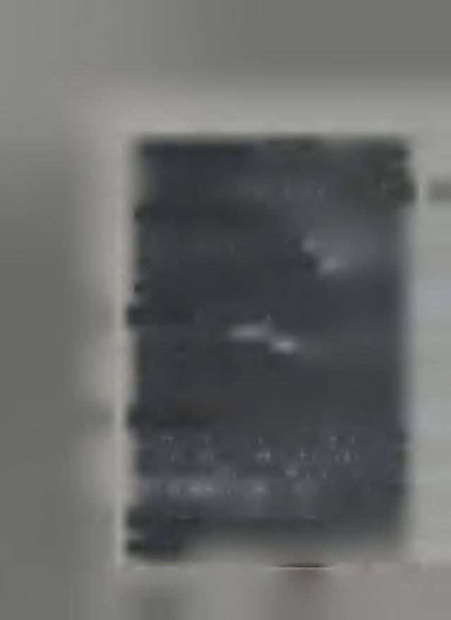 osoby relatora ' I/3 - inne materiały dokumentacyjne dot. osoby relatora (y II.
