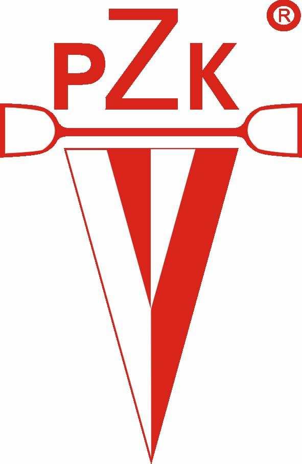 SPRAWOZDANIE Z DZIAŁALNOŚCI POLSKIEGO