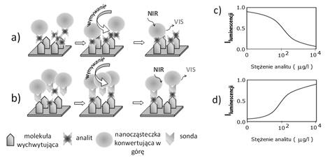 418 M. Misiak, K. Prorok, A. Bednarkiewicz 2.1. Testy heterogeniczne Rozróżniane są dwa rodzaje testów heterogenicznych: test konkurencyjny oraz niekonkurencyjny [46].