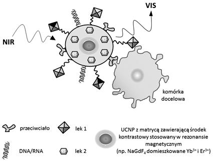 436 M. Misiak, K. Prorok, A. Bednarkiewicz Rysunek 16. Schemat przedstawiający wielofunkcyjne nanoplatformy Figure 16.