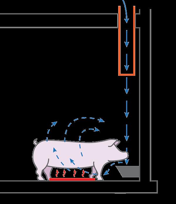 Systemy wentylacji Wentylacja doprowadzająca świeże powietrze do nosa zwierząt.
