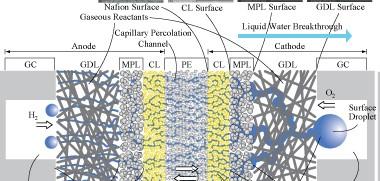 Przewodniki protonowe Transport wody w elektrolicie