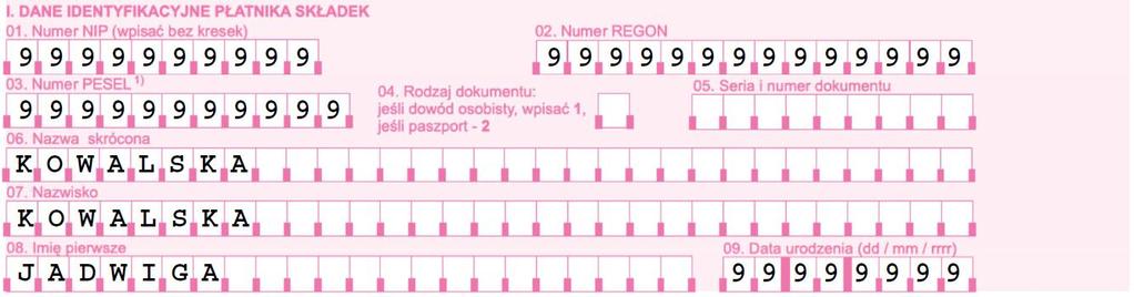 W polu 02 wpisz numer REGON, który nadał Ci jako płatnikowi Główny Urząd Statystyczny. Numer ten jest ewidencjonowany w krajowym rejestrze urzędowym podmiotów gospodarki narodowej.