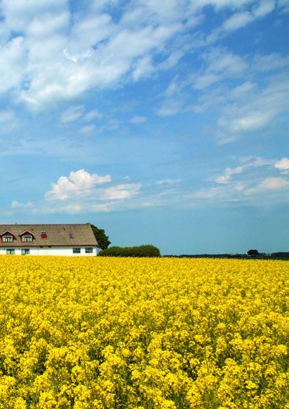 Towarzystwo Nauk Przyrodniczych Igelösa Miejsce, w którym naukowcy - prawdziwi pasjonaci zdrowia i dobrego samopoczucia - dokonują przełomów na polu medycyny i odżywiania, mających moc wnoszenia