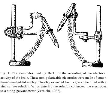 EEG historia aktywność mózgu - Caton 1875