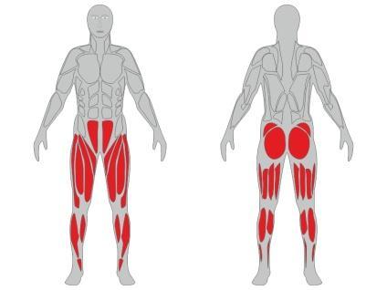 Informacje techniczne o urządzeniu fitness: Nazwa urządzenia: Rower i jeździec na pylonie Numer katalogowy: FL4 Zgodność z normami: PN-EN 16630:2015 Certyfikat: Na zgodność z norma PN-EN 16630:2015