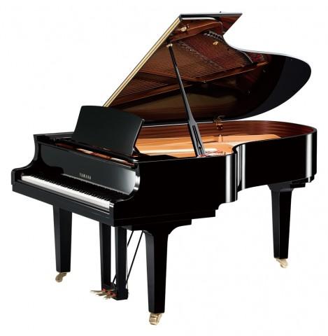Brzmienie fortepianu posiada nieograniczone możliwości ekspresji, wyrażania melodii i dźwięków w pięknej harmonii.
