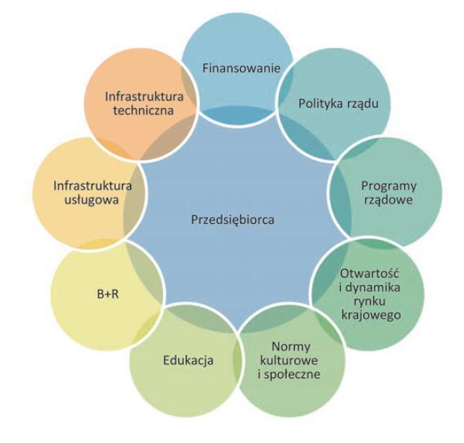 Determinanty przedsiębiorczości Źródło: Global