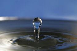 W dniach 21-27 sierpnia 2011 r. obchodzony jest,,światowy Tydzień Wody. Akcja organizowana jest od 1991 r. pod patronatem Stockholm International Water Institute (SIWI).