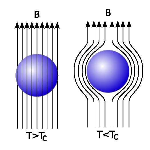 Nadprzewodniki efekt Meissnera Nadprzewodniki charakteryzuja sie jednocześnie idealnym diamagnetyzmem.