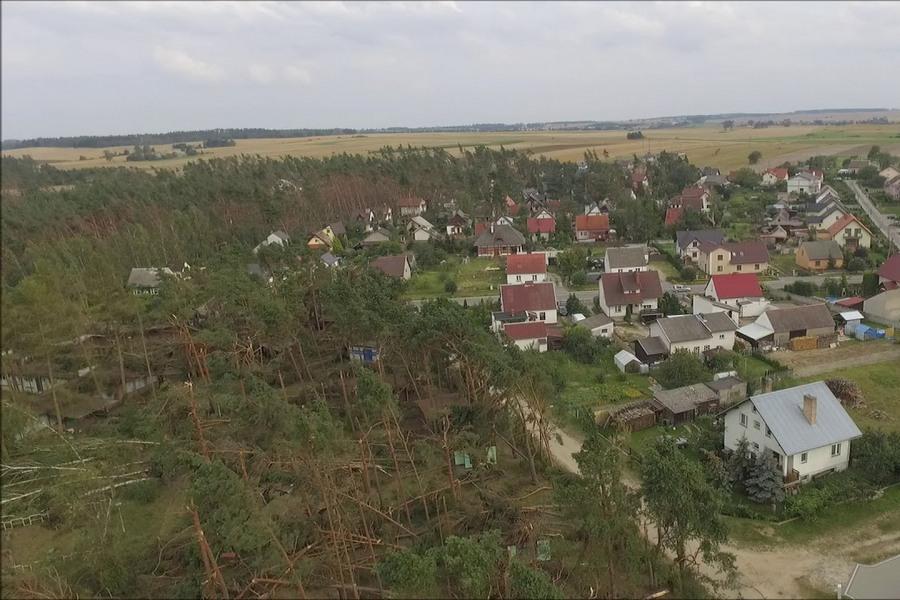 Jak przyznaje wójt Radosław Januszewski z powierzchni zniknęła połowa powierzchni lasów. - Zalesienie w naszej gminie jest niewielkie. Stanowi 10% obszaru.