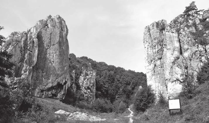 2 Zadania od 1. do 8. wykonaj na podstawie barwnej mapy fragmentu Wyżyny Krakowsko-Częstochowskiej. Zadanie 1. (1 pkt) W tabeli podano opisy obiektów występujących na obszarze przedstawionym na mapie.