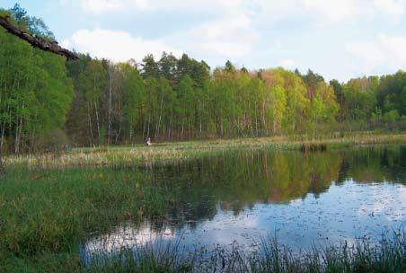 Fot. 84. Jeden ze zbiorników odtworzony w ramach przedsięwzięcia Fot. R.