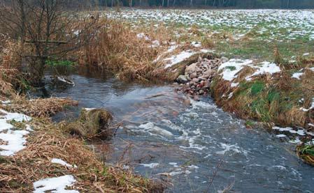 Fot. 34. Ostroga kamienna jako element służący przywracaniu naturalnego charakteru koryta rzecznego górny odcinek rzeki Płytnicy w Nadleśnictwie Jastrowie Fot. R.