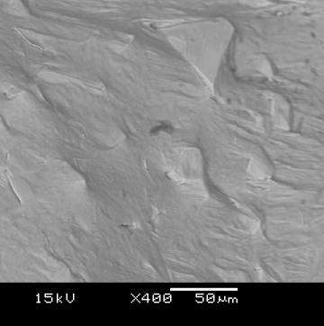 Obserwacja w skali mikroskopowej frontu krystalizacji na powierzchni wewnętrznej skorup siluminów nadeutektycznych wykazuje, że chropowaty w sensie makro front krzepnięcia wynika z powierzchniowej