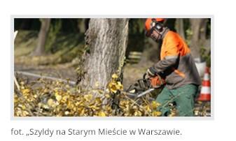 Strona 25 Miasta Stołeczne Warszawa - Księga Identyfikacji Wizualnej Portalu Miejskiego ELEMENTY STRONY - Elementy typograficzne. Wygląd artykułu.