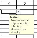 5. Korzystanie z listy rozwijanej. Komórki, w których należy wpisać nazwę programu komputerowego lub odpowiedź tak lub nie, opatrzone są listą rozwijaną.