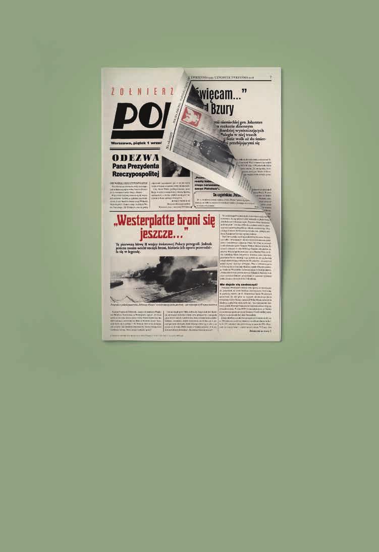 p o l s k a - z b r o j n a.
