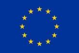 Plan Strategiczny -zarys Komisja Europejska Szczegółowe cele WPR na poziomie Unii Europejskiej Ustalenie zestawu wskaźników monitorowania Określenie ogólnych metod interwencji Państwa