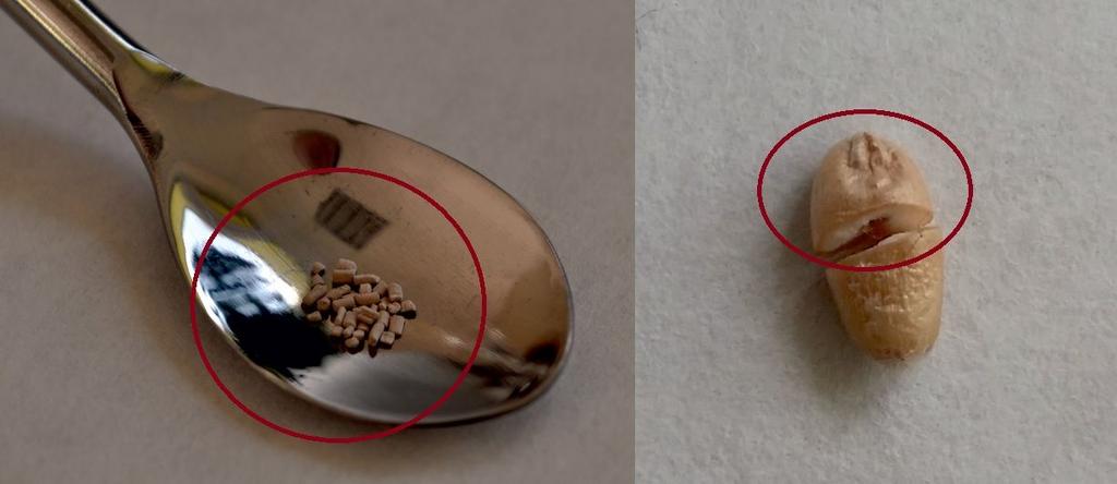 https://www. Zaledwie 20 miligramów triasulfuronu może obniżyć plon rzepaku nawet o 45% Po prawej widać, że 20 miligramów to zaledwie pół ziarenka pszenicy!