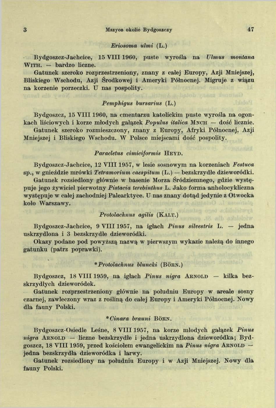 3 Mszyce okolio Bydgoszczy 47 Eriosoma ulmi (L.) Bydgoszcz-Jachcice, 15 VIII 1960, puste wyrośla na TJlmus montana W i t h. bardzo liczne.