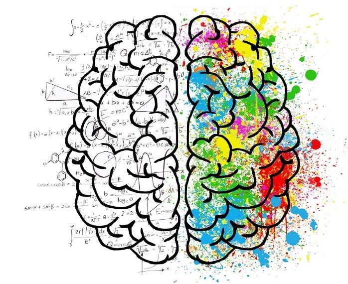 MNEMOTECHNIKI i możliwości pamięciowe mózgu wstęp do neurodydaktyki Czas trwania: 5 godz. dyd.