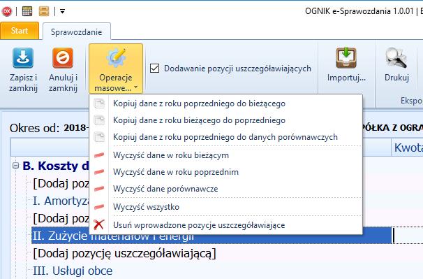 Wydruk sprawozdania Obecna wersja programu pozwala na