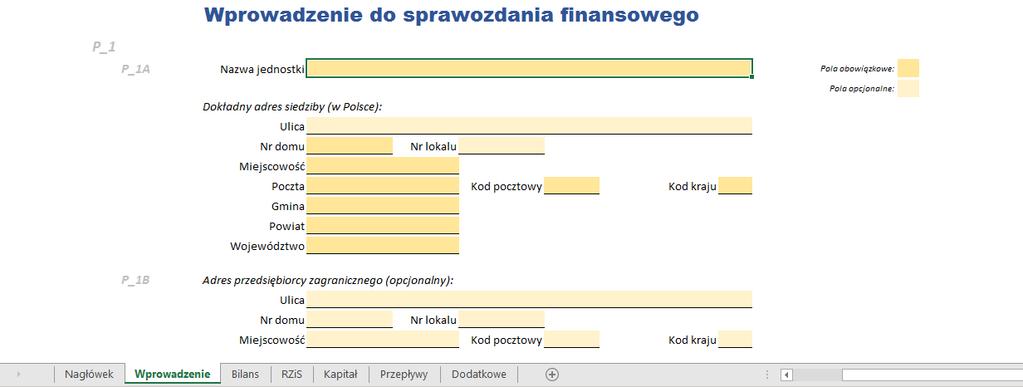 Kolejne arkusze skoroszytu zawierają kolejne sekcje sprawozdania, które należy wypełnić. Pola opcjonalne są zaznaczone jaśniejszym kolorem, a pola wymagane ciemniejszym.