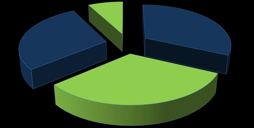 10. Informacje o strukturze akcjonariatu Netwise S.A., ze wskazaniem akcjonariuszy posiadających na dzień sporządzenia raportu co najmniej 5% głosów na walnym zgromadzeniu Spółki.