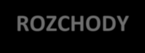 144 216 718,00 WYDATKI 138 707 666,65 + ROZCHODY