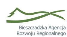 1 Wsparcie osób pozostających bez zatrudnienia na regionalnym rynku pracy Opracowanie: