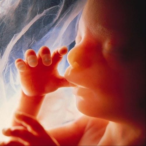 Pytanie o początek życia Aborcja. In vitro.