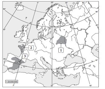 delta Formy rzeźby terenu dolina U-kształtna dolina V-kształtna wał moreny czołowej Czynnik rzeźbotwórczy tworzący formę terenu Proces rzeźbotwórczy Zadanie 18. ( 0-4 pkt.