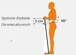 Po drugie dopasowanie sprzętu Bardzo to poważnie zabrzmiało dopasowanie sprzętu, ale do nordic walkingu potrzebujemy tylko kijków, ot i