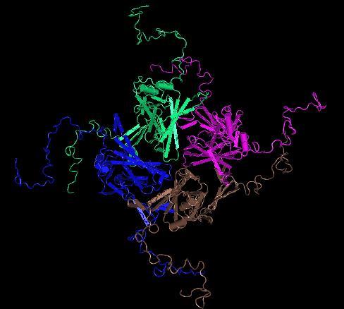 Struktura białka kanał potasowy PDB: 2XKY Source: Mus musculus