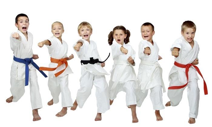 Sport w ubezpieczeniu szkolnym Zakres obejmuje nieszczęśliwe wypadki powstałe podczas uprawiania sportu (w tym: karate, judo, capoeira, jujitsu, takewondo, zapasy, kendo, kung-fu,