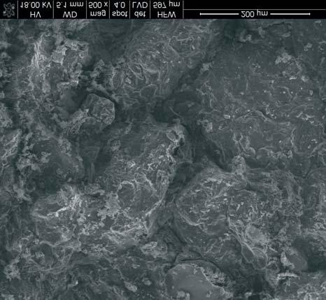 Elongated accumulations of ovalized thenardite crystals are visible in its central part. SEM image Fig. 2. Piaskowiec triasowy z Tumlina Grodu po nasycaniu siarczanem sodu.