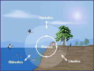 Atmosfera Biosfera Hydrosfera Litosfera BIOSFERA BIOCENOZA BIOTOP