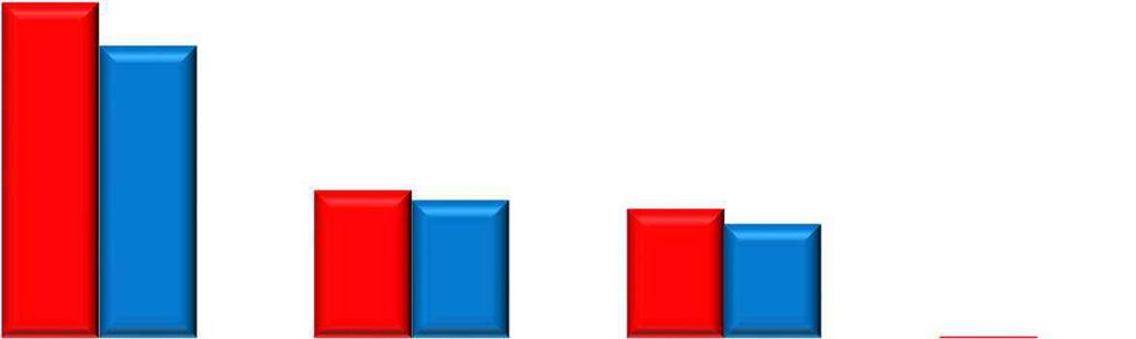 Plan 2018 Grupa Mangata Holding Sprzedaż wg segmentów Cel: wartość przychodów ze sprzedaży 694,4 mln PLN Wzrost sprzedaży o 76,9 mln PLN (12,5%) Podzespoły dla motoryzacji Stabilny wzrost popytu w