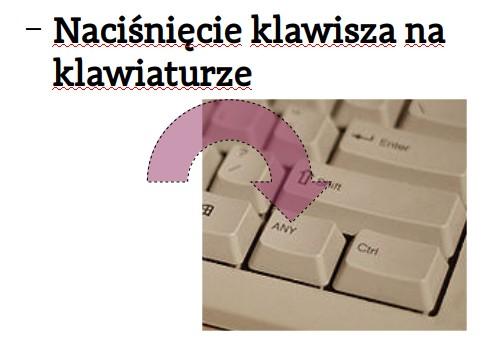 zajęciach?