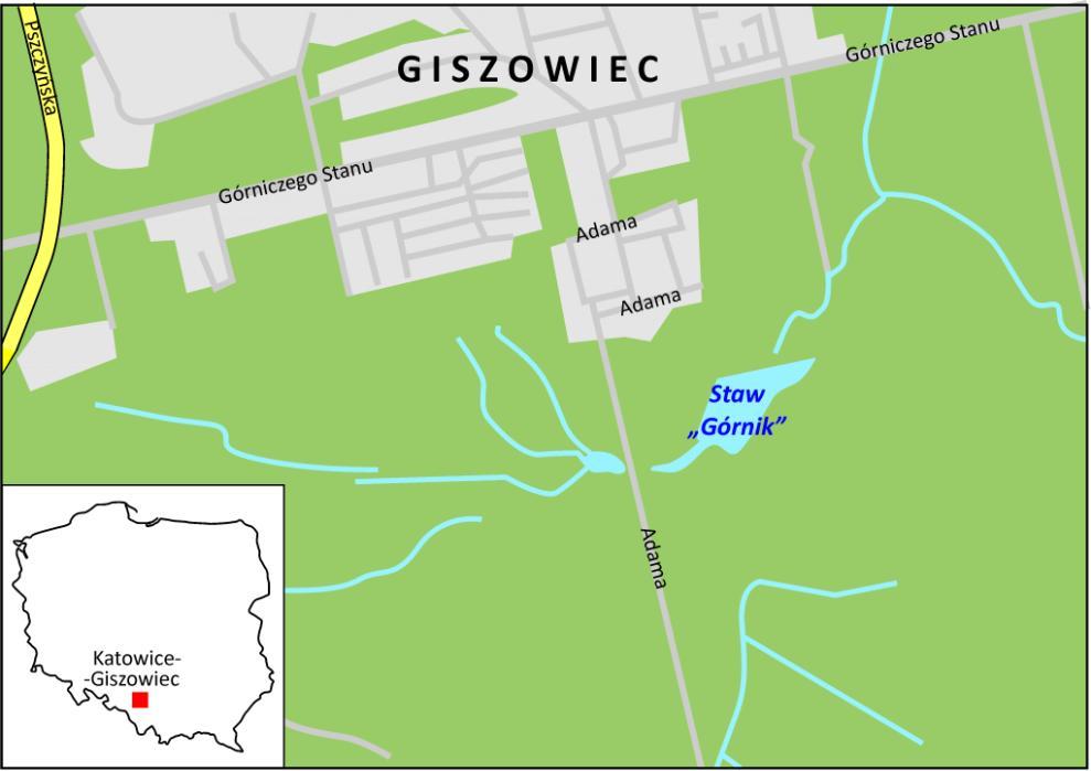 Identyfikacja ważek konsultowana była każdorazowo ze specjalistami. Wyniki. Podczas obserwacji obejmujących cztery sezony odnotowano 41 gatunków ważek (Tab.1).