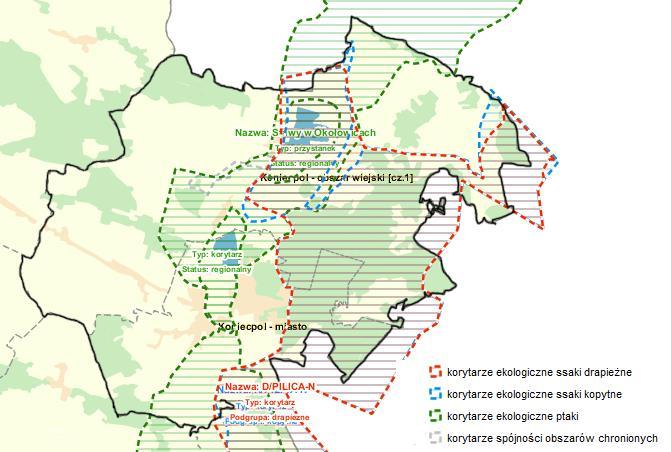 Korytarze ekologiczne Korytarze ekologiczne są to obszary łączące różne jednostki przestrzenne krajobrazu.